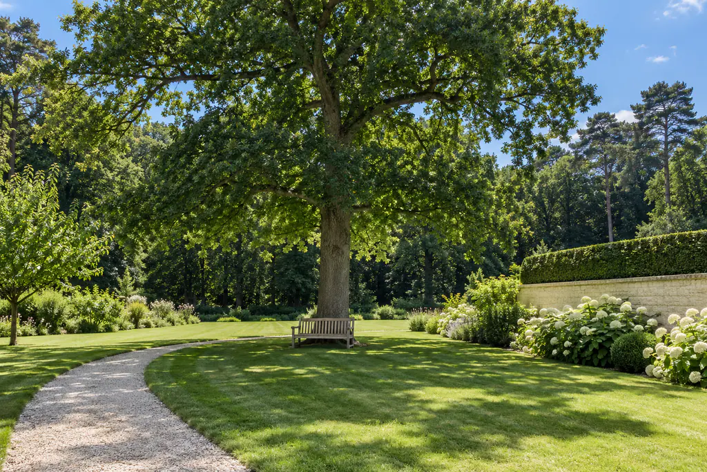 Le même jardin en été : chêne au feuillage dense, pelouse tondue, hortensias blancs le long du mur de pierre, ciel bleu.